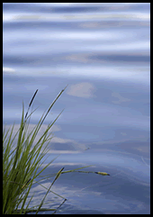 Treated Soil System Advantages